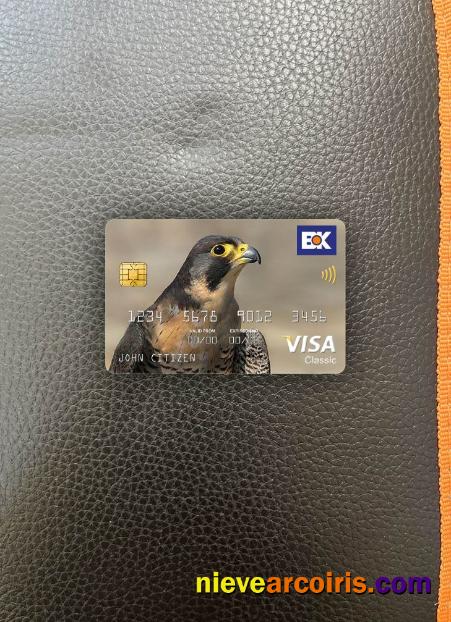 Pakistan The Bank of Khyber bank visa classic card photolook